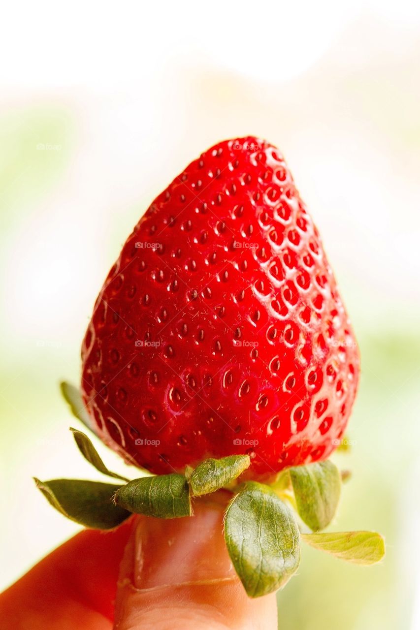 Single Strawberry