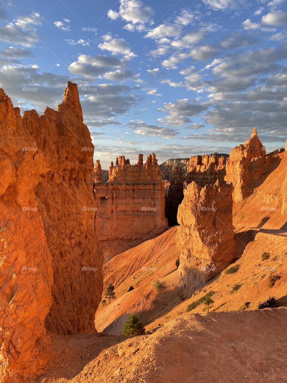 Hiking in Utah 