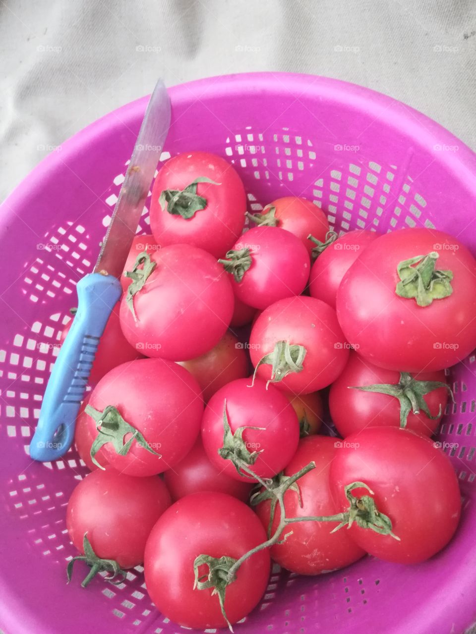 Tomatoes