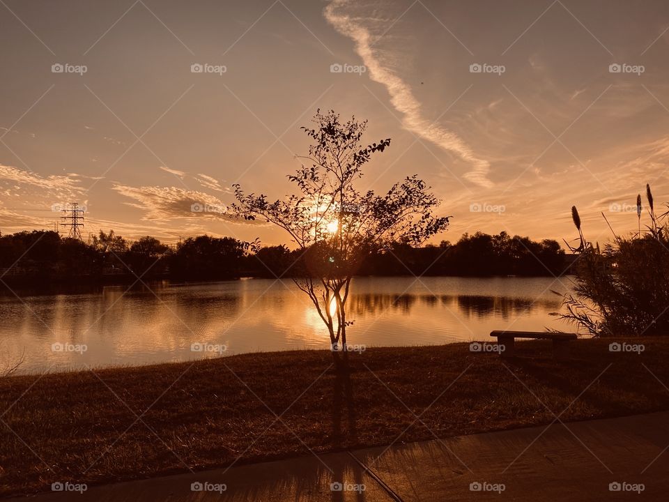 During my walk out to the lake passing a familiar spot for a picture of the setting Sun. Not having the usual high intensity of the late afternoon may signal a more intense weather called Winter.