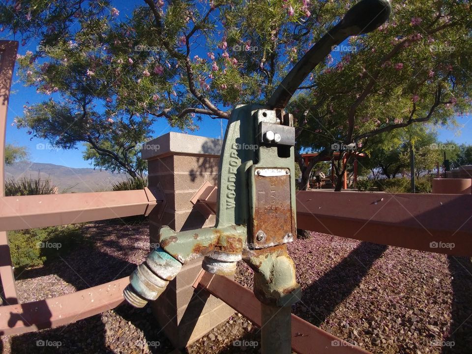 Antique Water Spigot