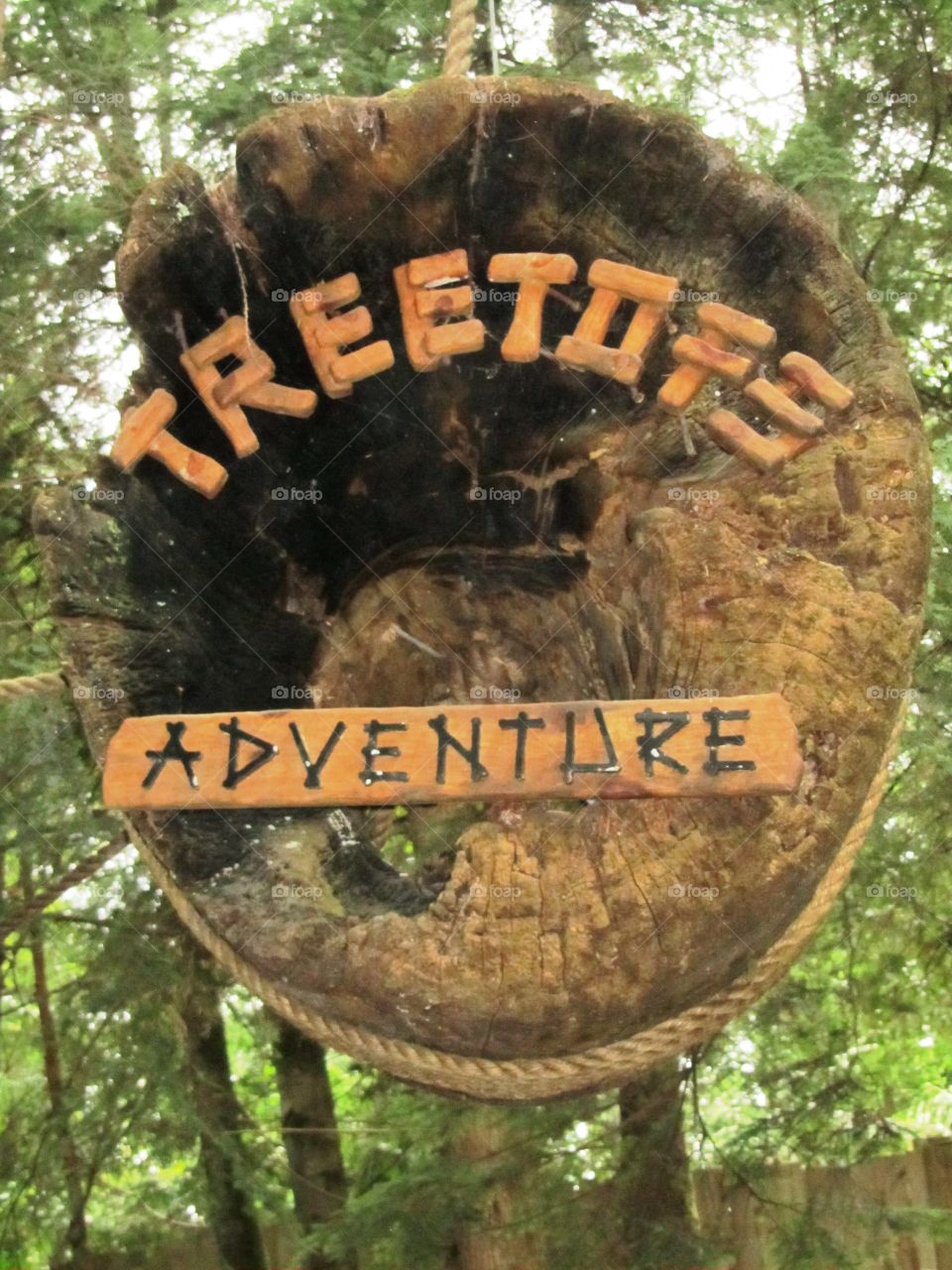 Treetops adventure . Treetops adventure 