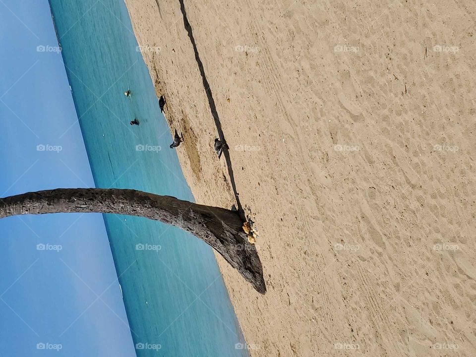 Balneario de Carolina Puerto Rico