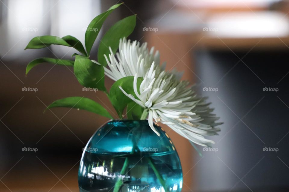 Whip flowers in a blue glass vase