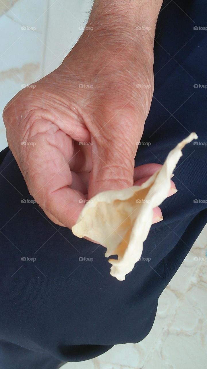 An old man's hand with a leaf of a tree.