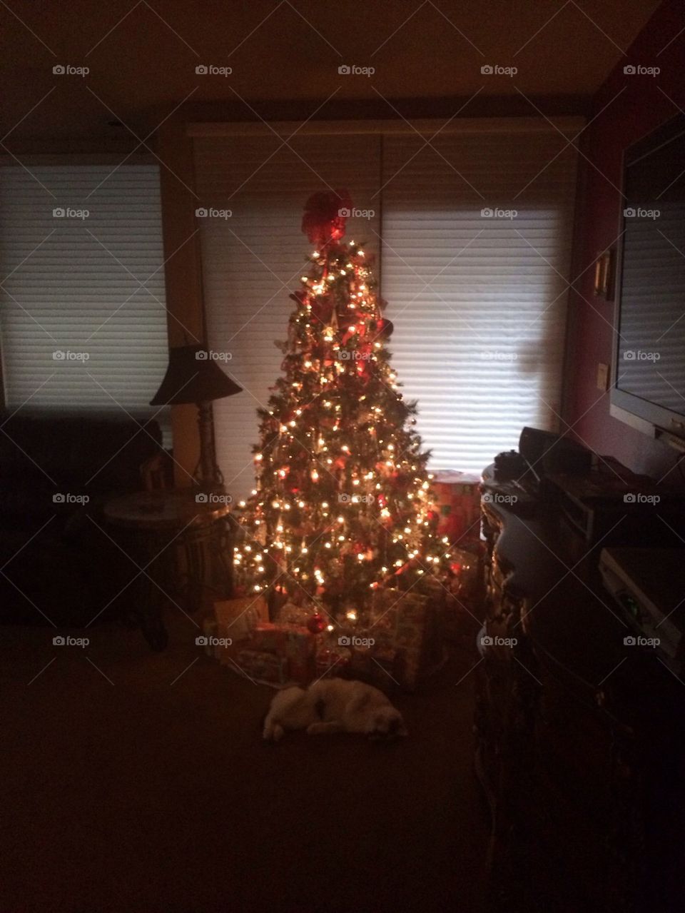 Our Christmas tree