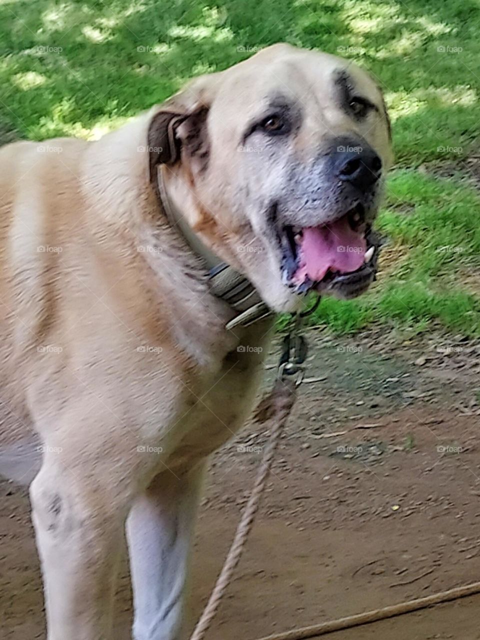 this is my favorite man he's the sweetest most loving man I know,  he's so nice to everyone.