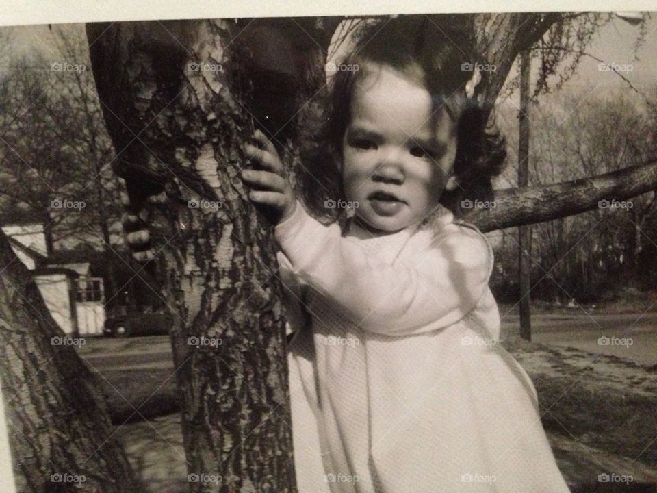 Climbing tree