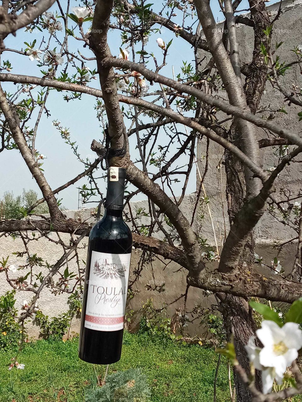 The great times are coming