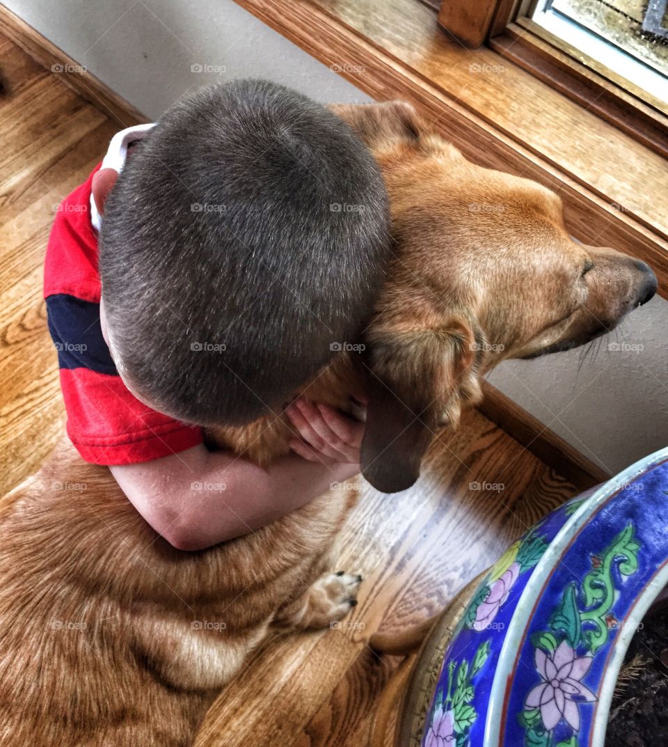 Love between boy and his dog