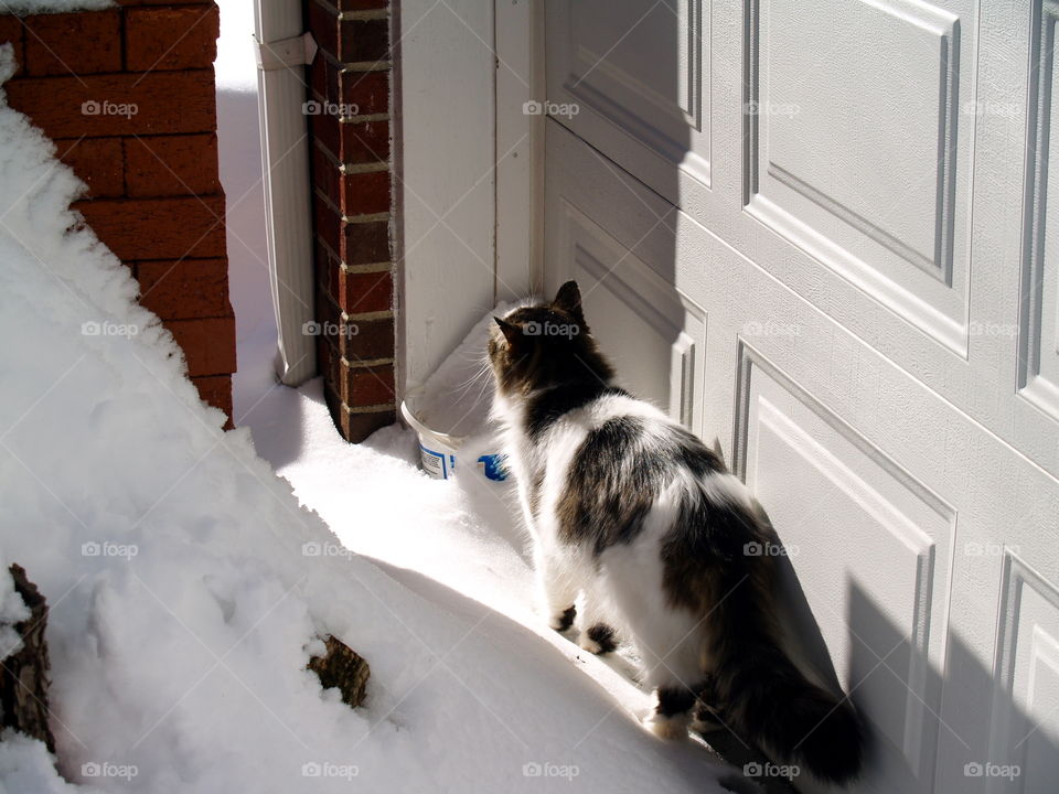 Winter, Snow, No Person, Window, One