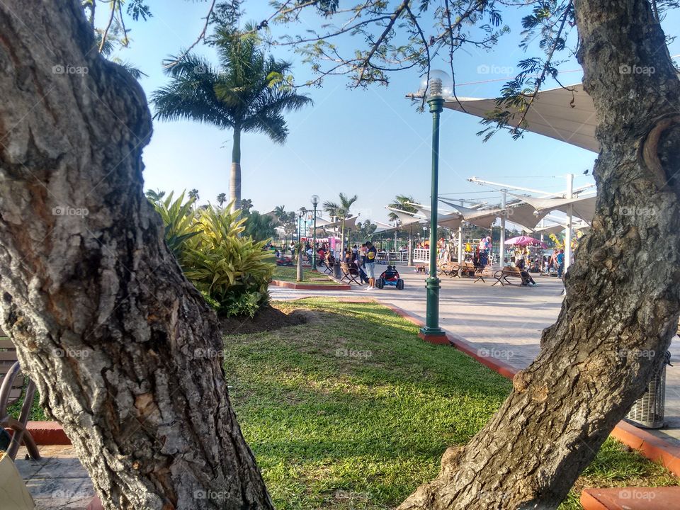 Park Tampico City