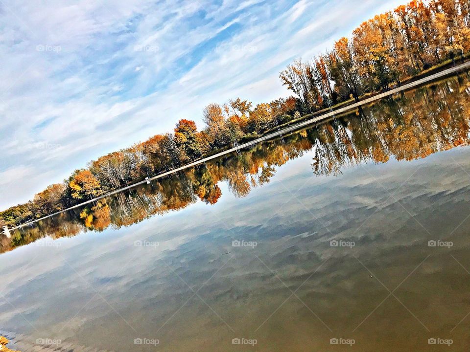 Reflection of The Season