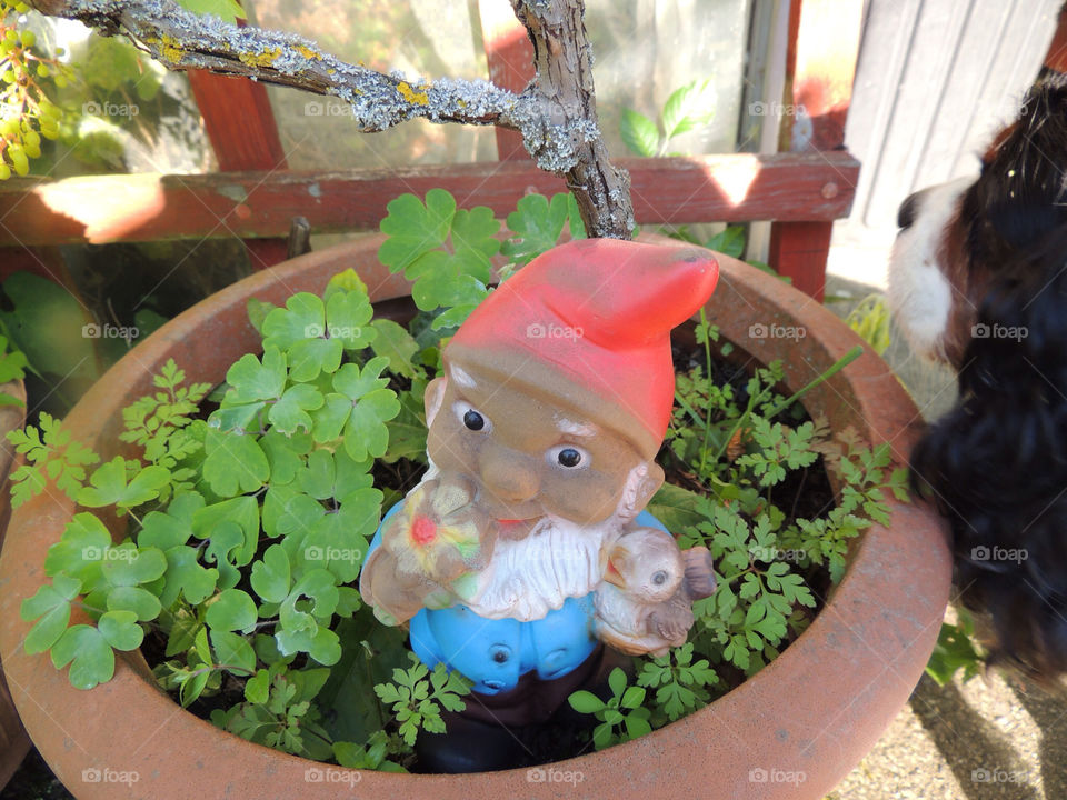 Pot, Garden, Flower, Flora, Nature