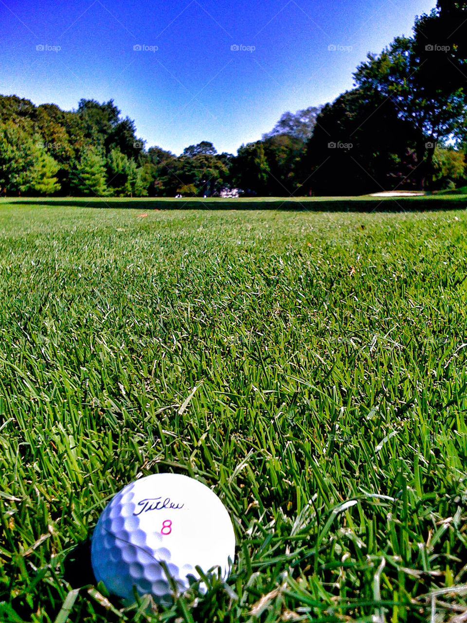 sport sky grass summer by javidog