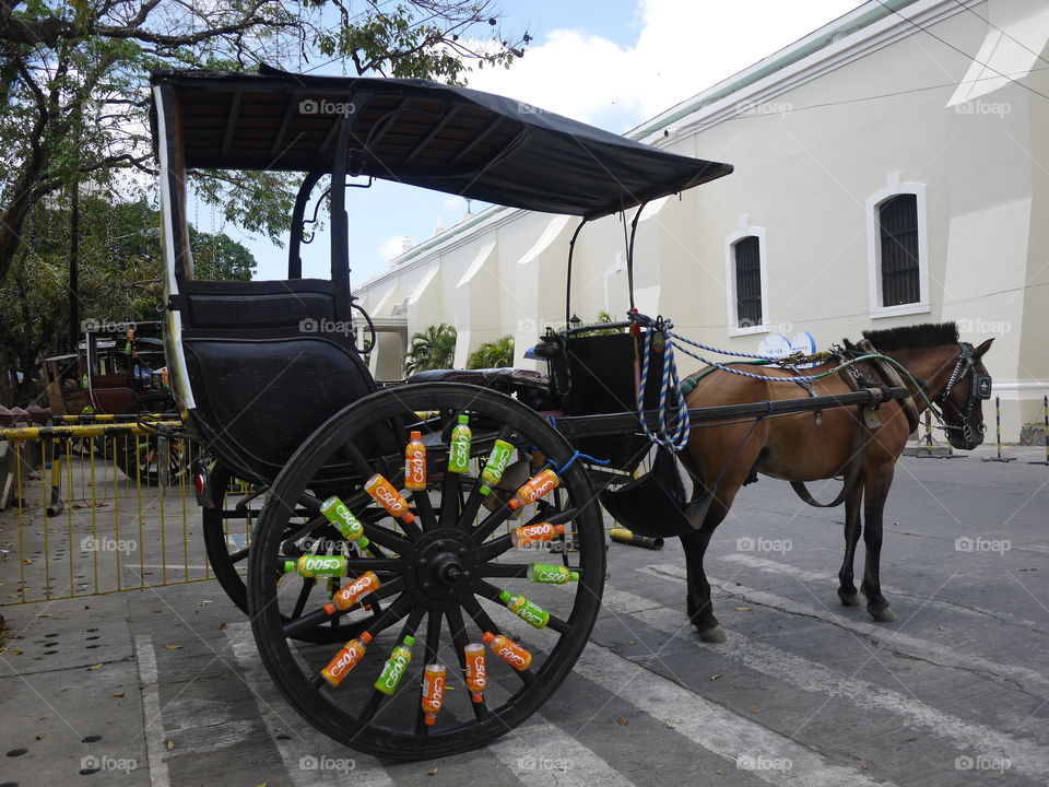 Horse carriage