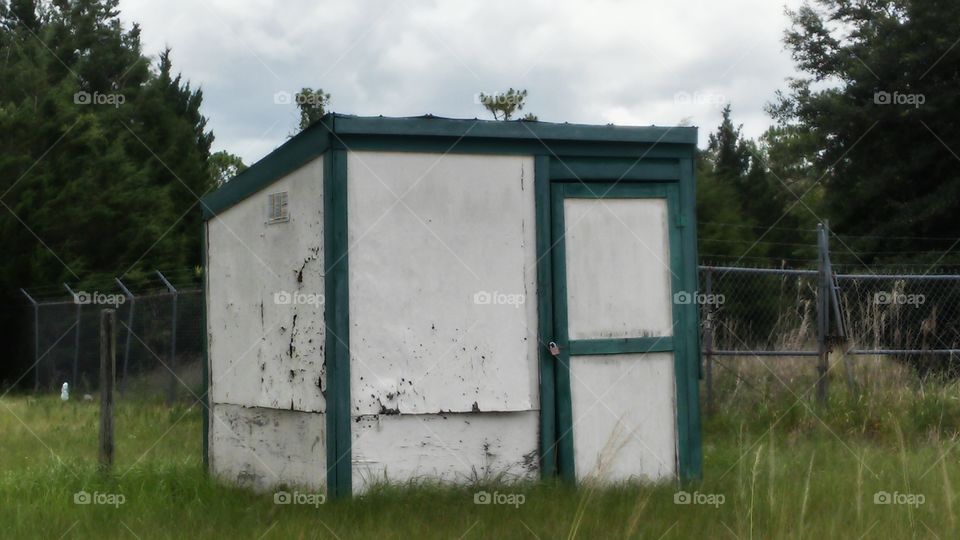 Shady shed