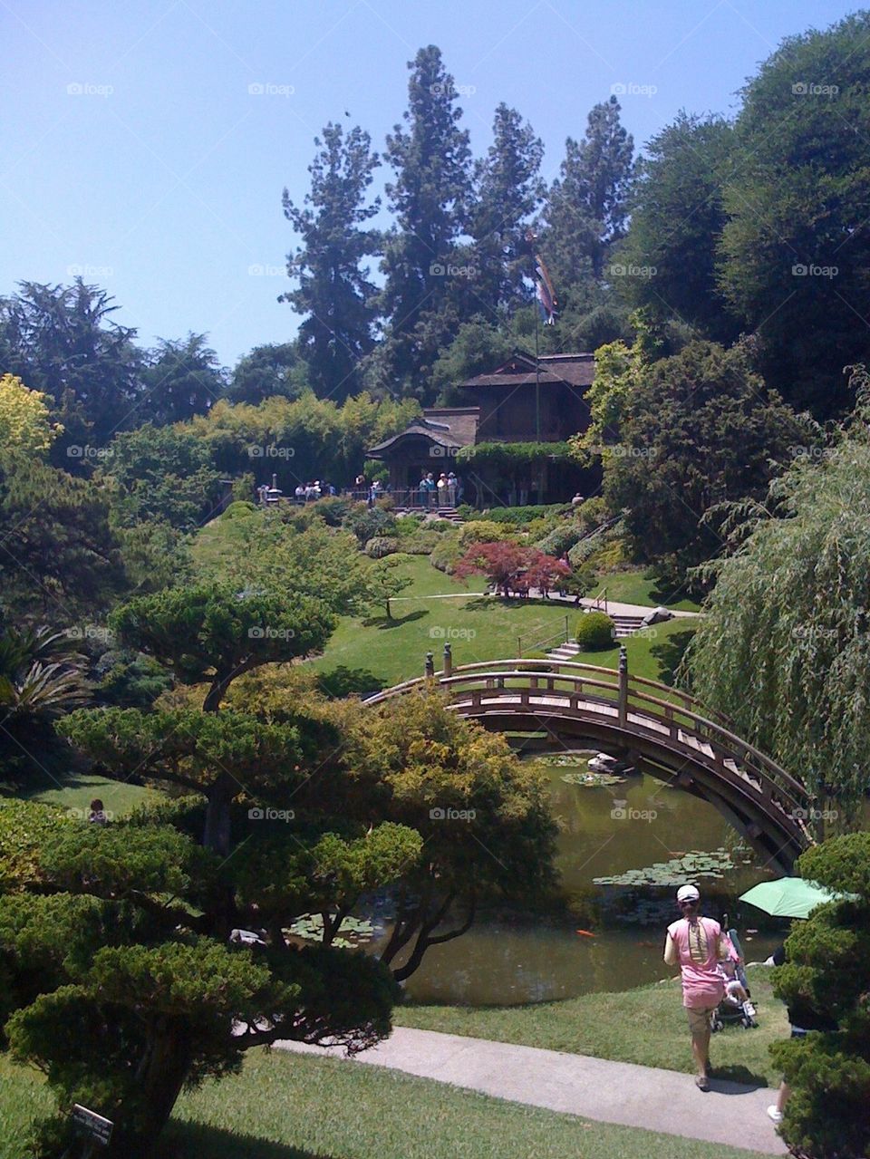 Japanese Garden