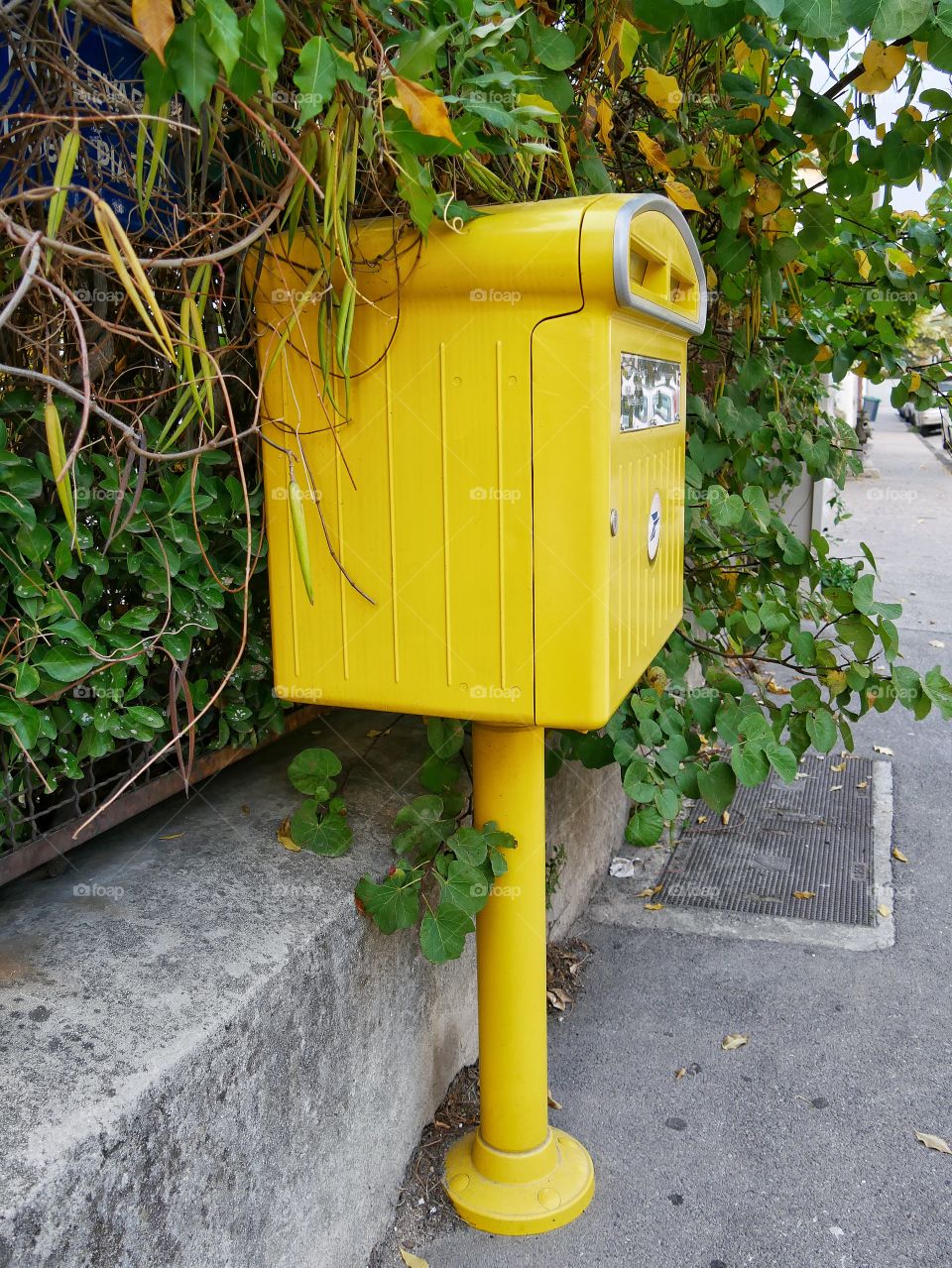 yellow Box Mail