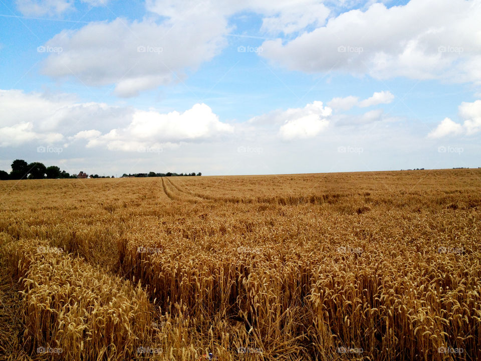 sky clouds cloud golden by dannytwotaps