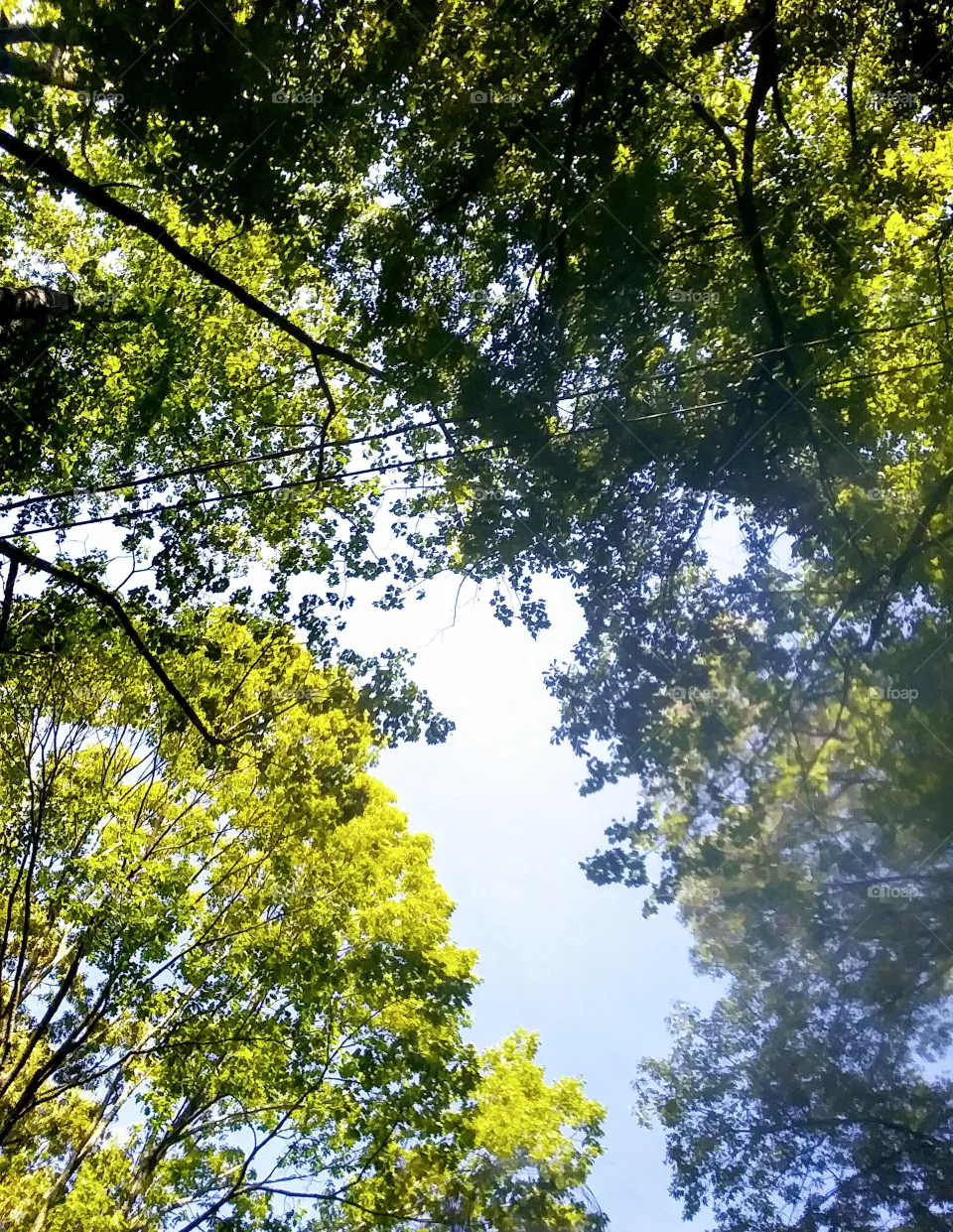outdoors