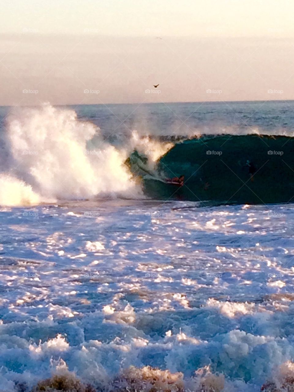Boarder Braving the Waves