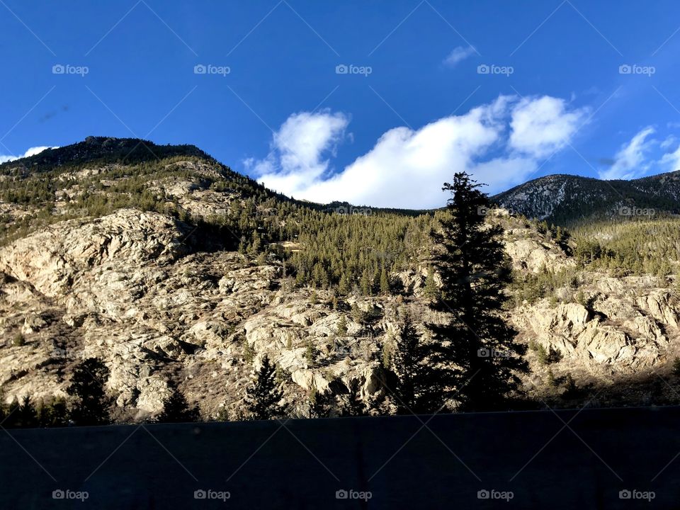 Rocky Mountains covered in pinetrees