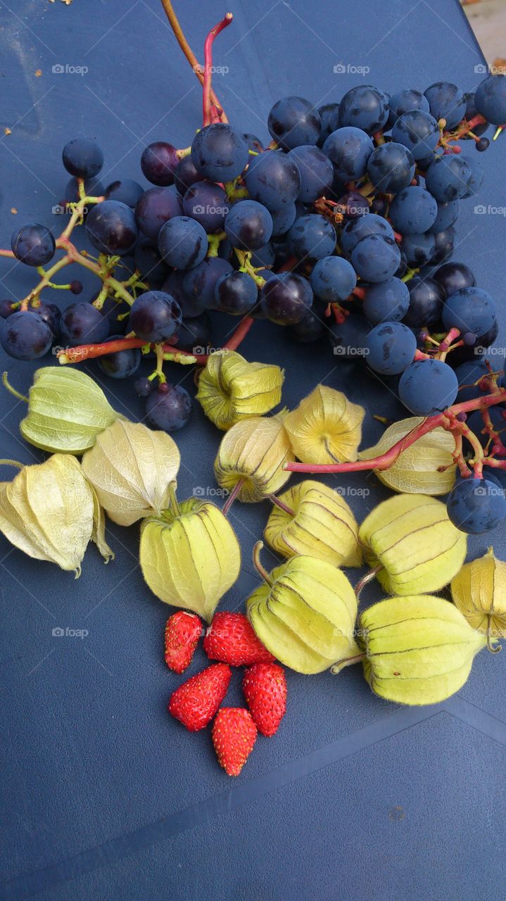 Harvest in fall season. Harvest in fall season