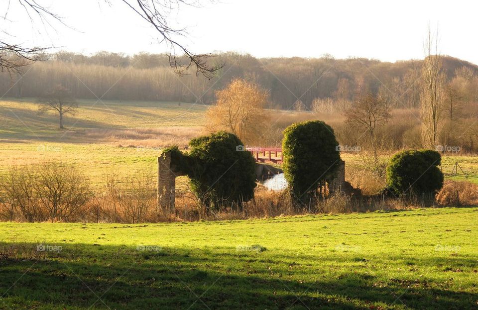 rural landscape