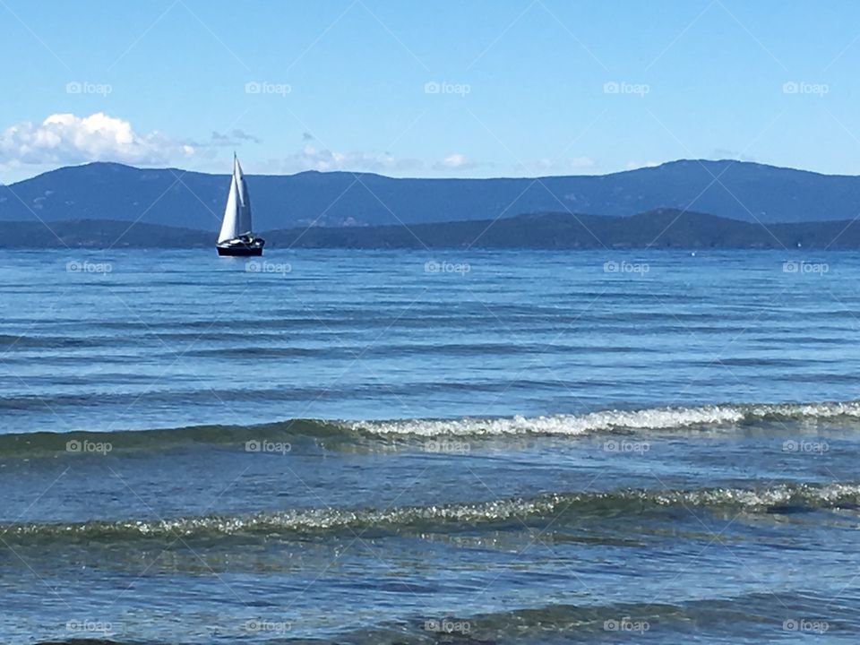 Summer on Vancouver Island