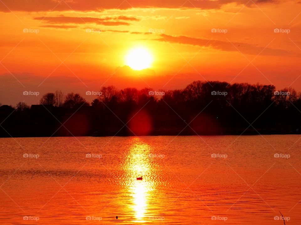 Sunset on the lake and a duck in the water in Indiana 