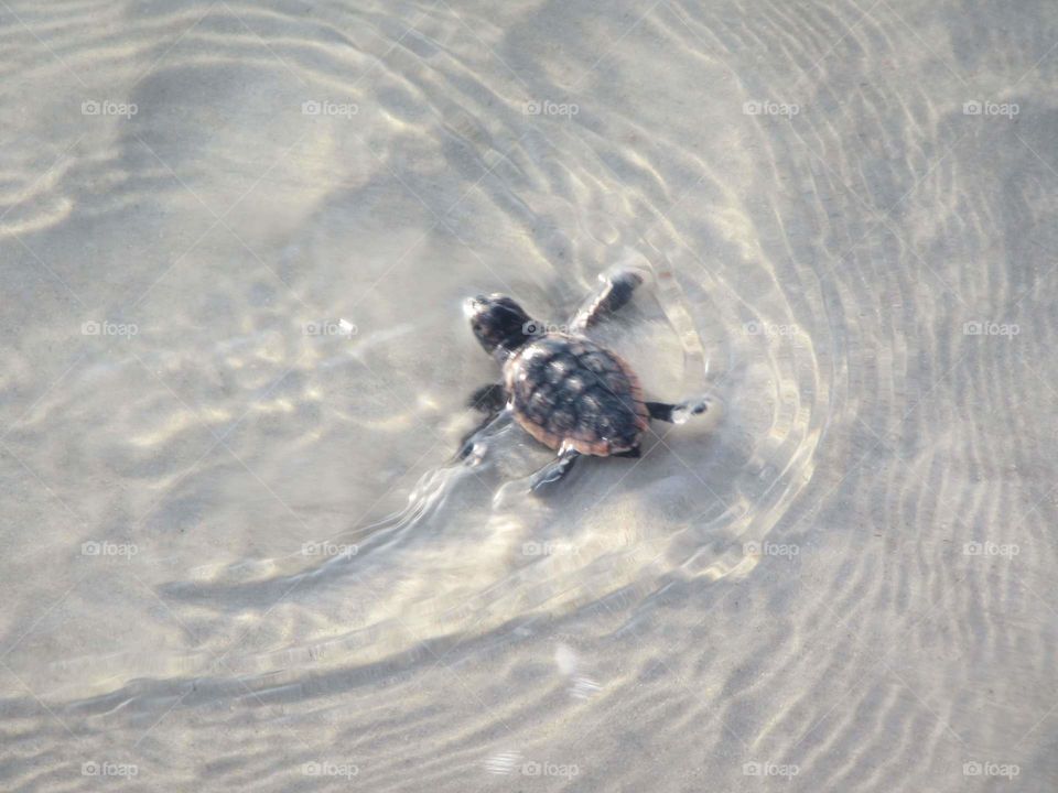 Determined to live the adventure