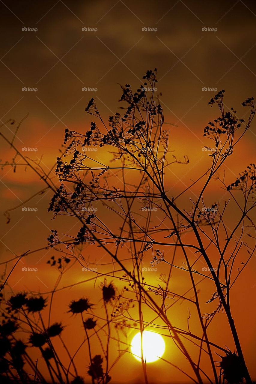 Sunset in little town