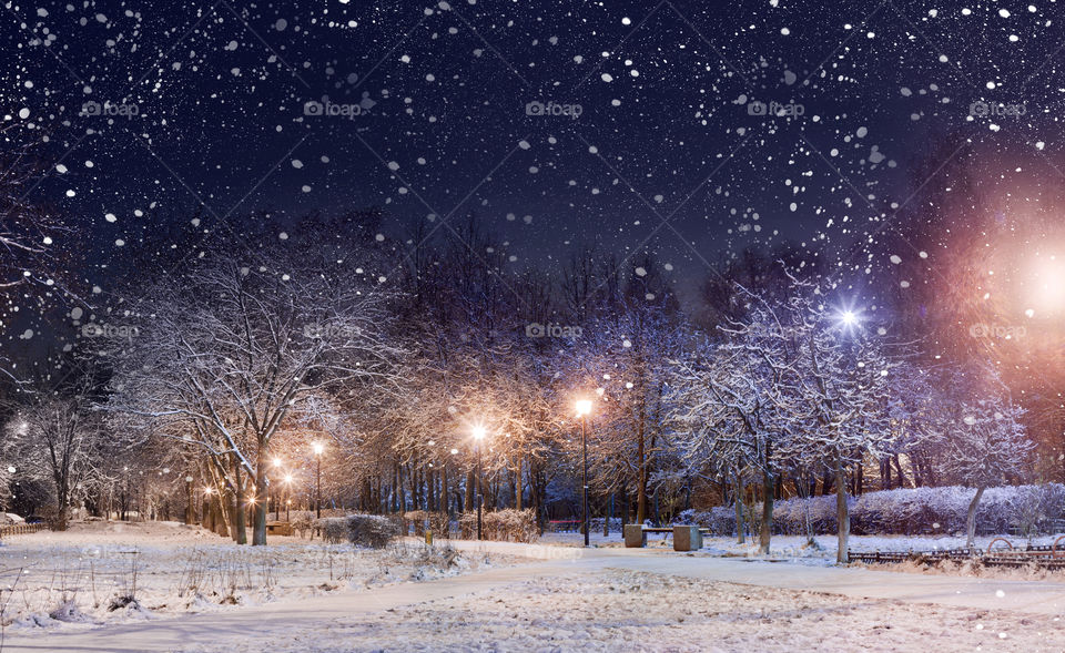 Night winter landscape