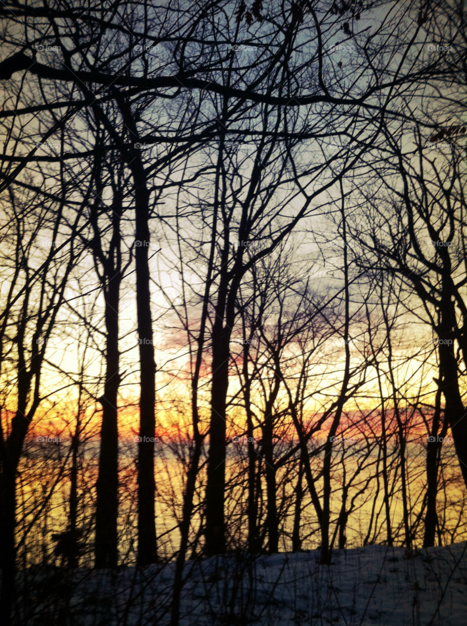 cudahy wi winter sunrise branches by doug414