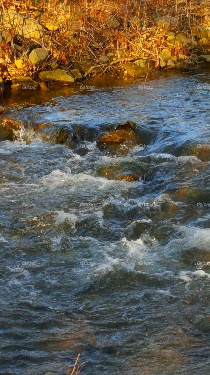 View of mountain stream