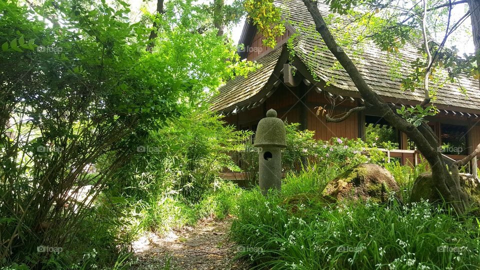 Japanese Garden House & Lantern
