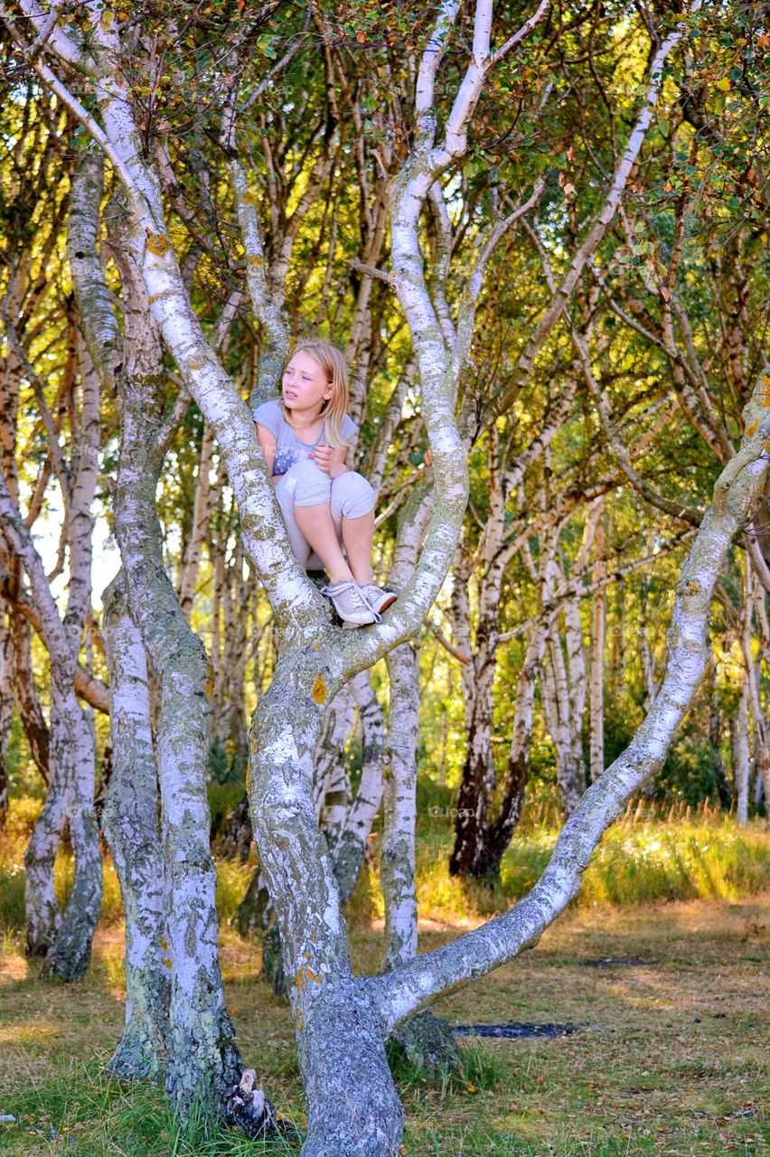 Girl high up in a tree