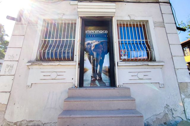 An Elephant at the Entrance of the house