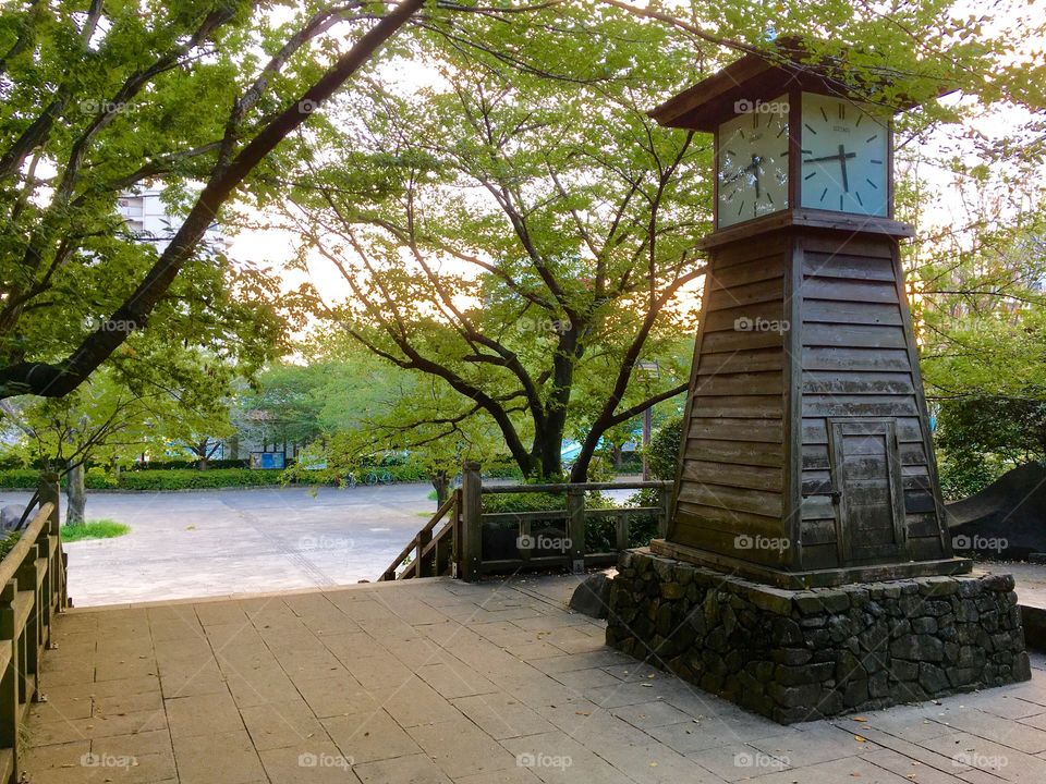 Clock tower in a park. 