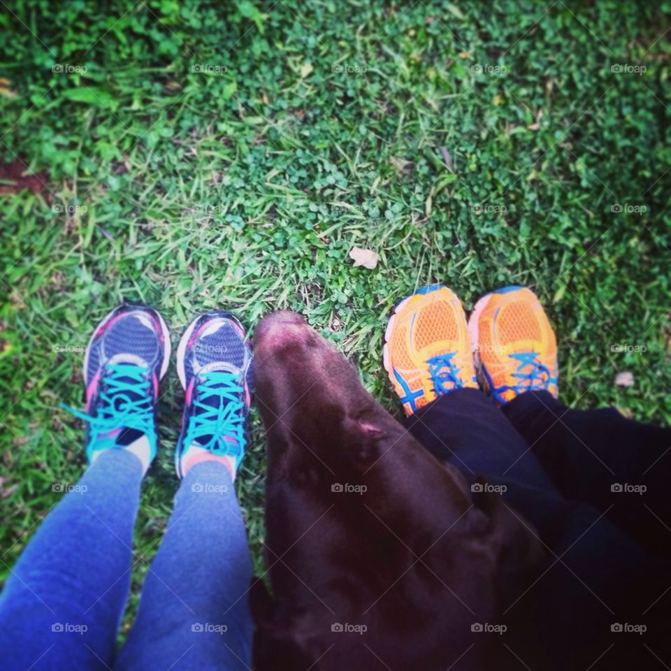 Ready, set, Dog, Run