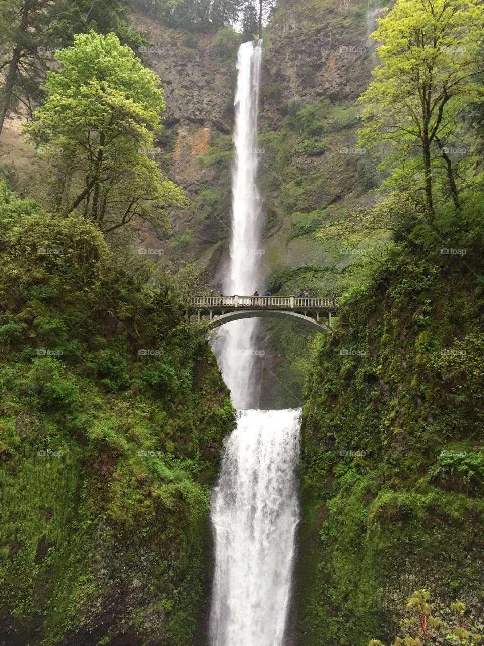 Waterfall in Portland 