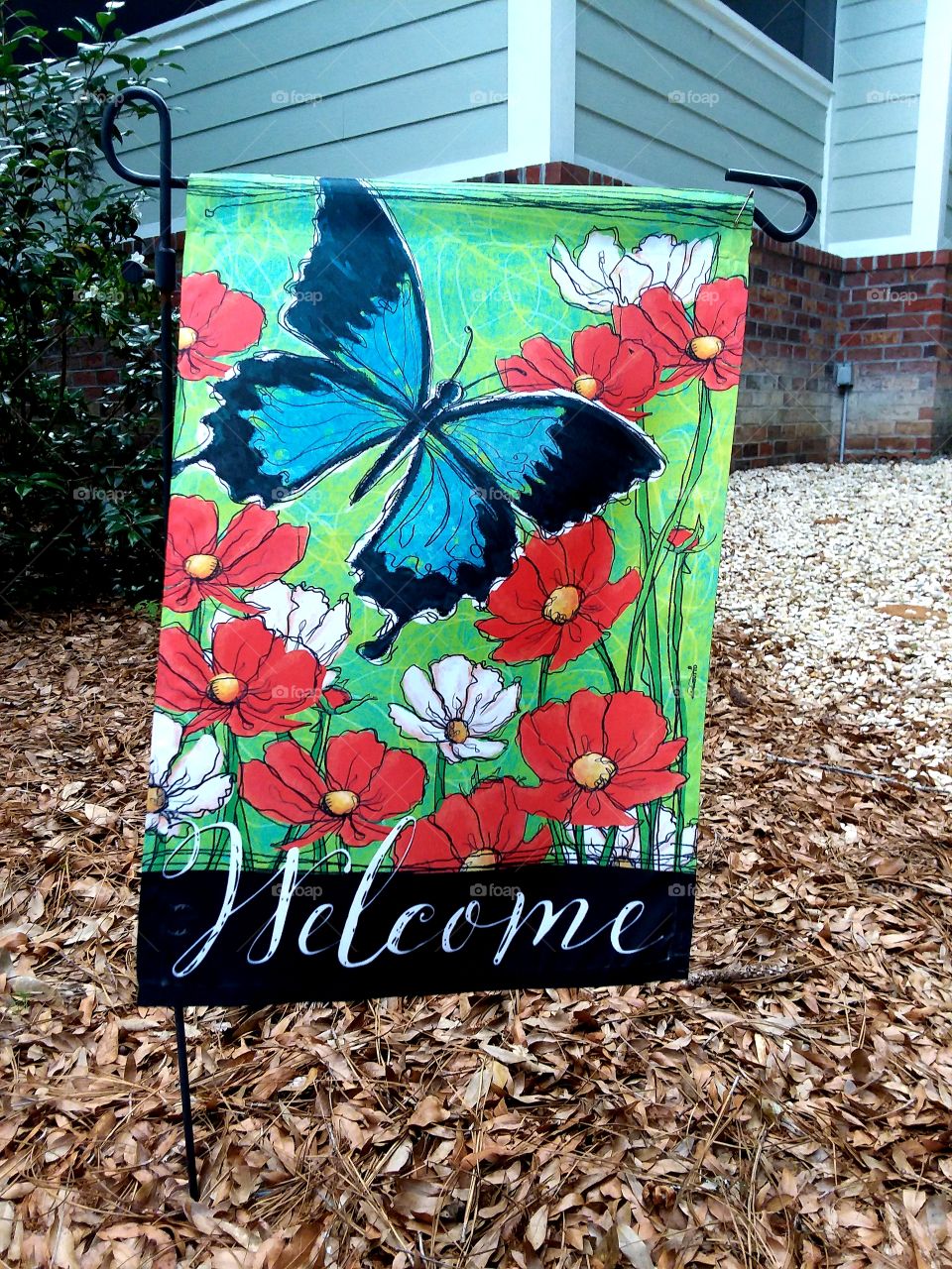 Welcome to the garden