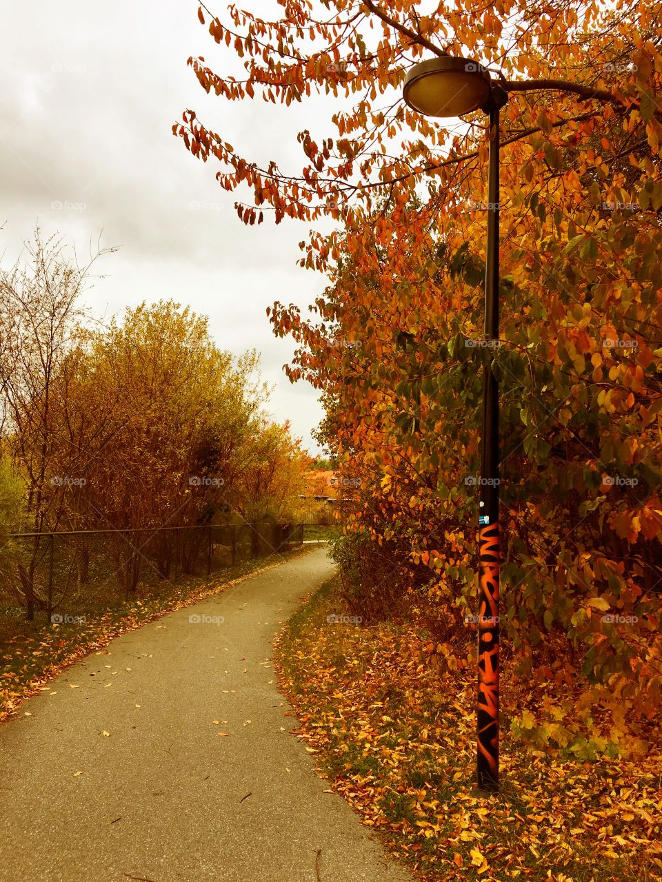 Colored streetlamp in autumn 
