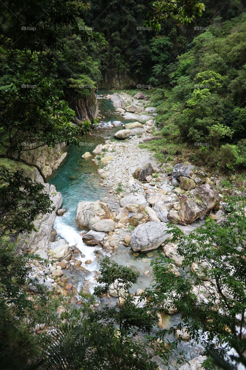 台湾