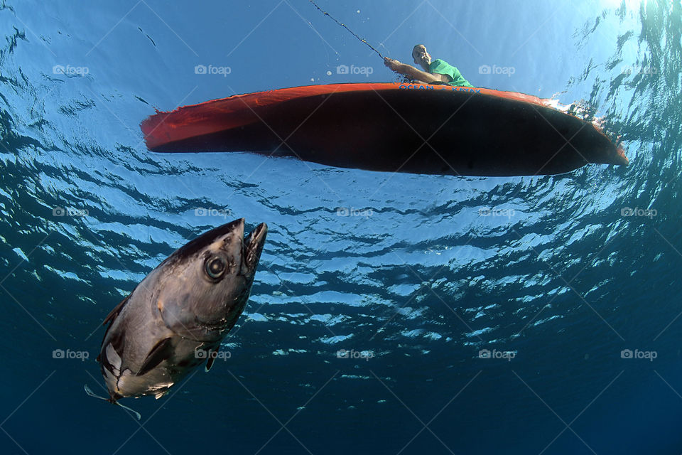 fish tuna fishing kayak by yahavesh