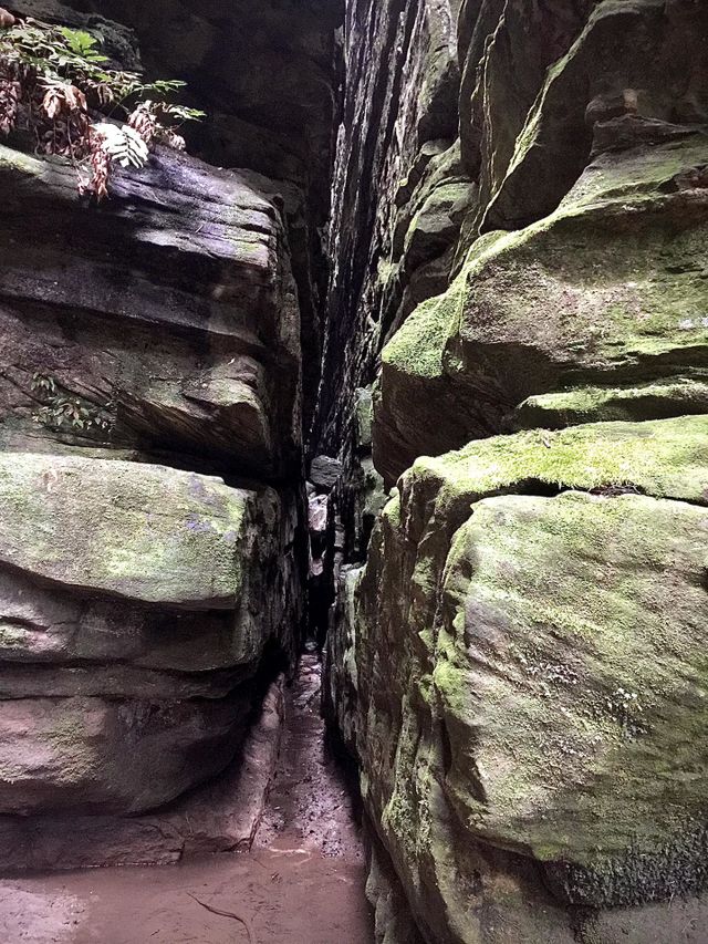 Cave Expedition