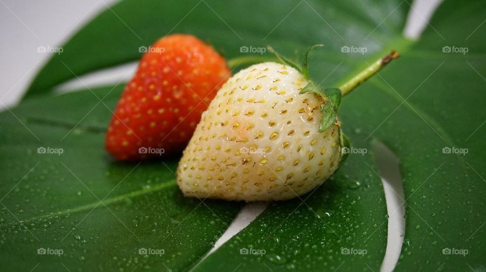 Red and white Thai strawberries