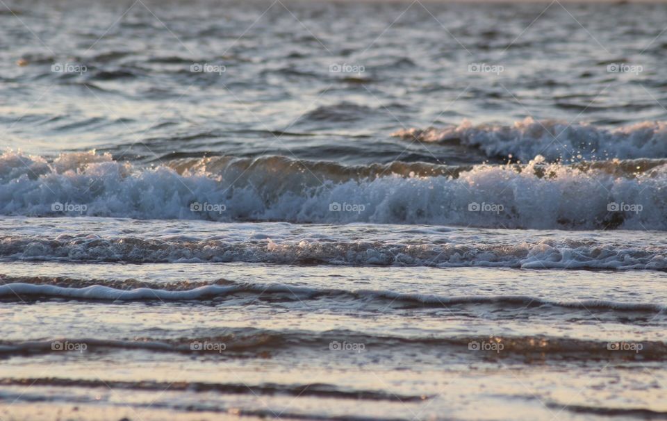 Ocean waves, nature, wildlife, no filters 