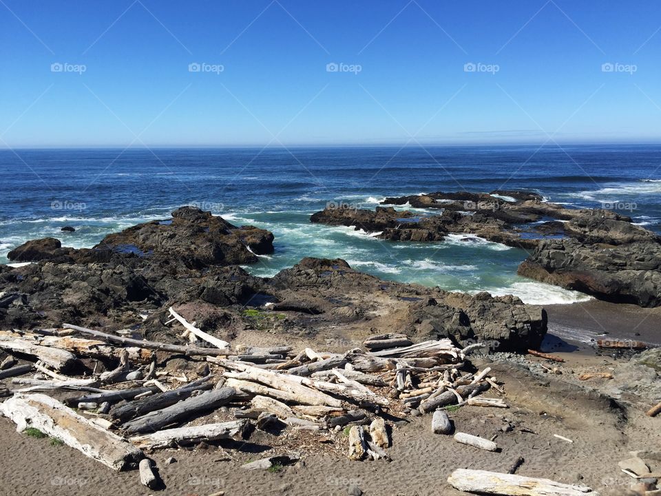 Drift woods on beach